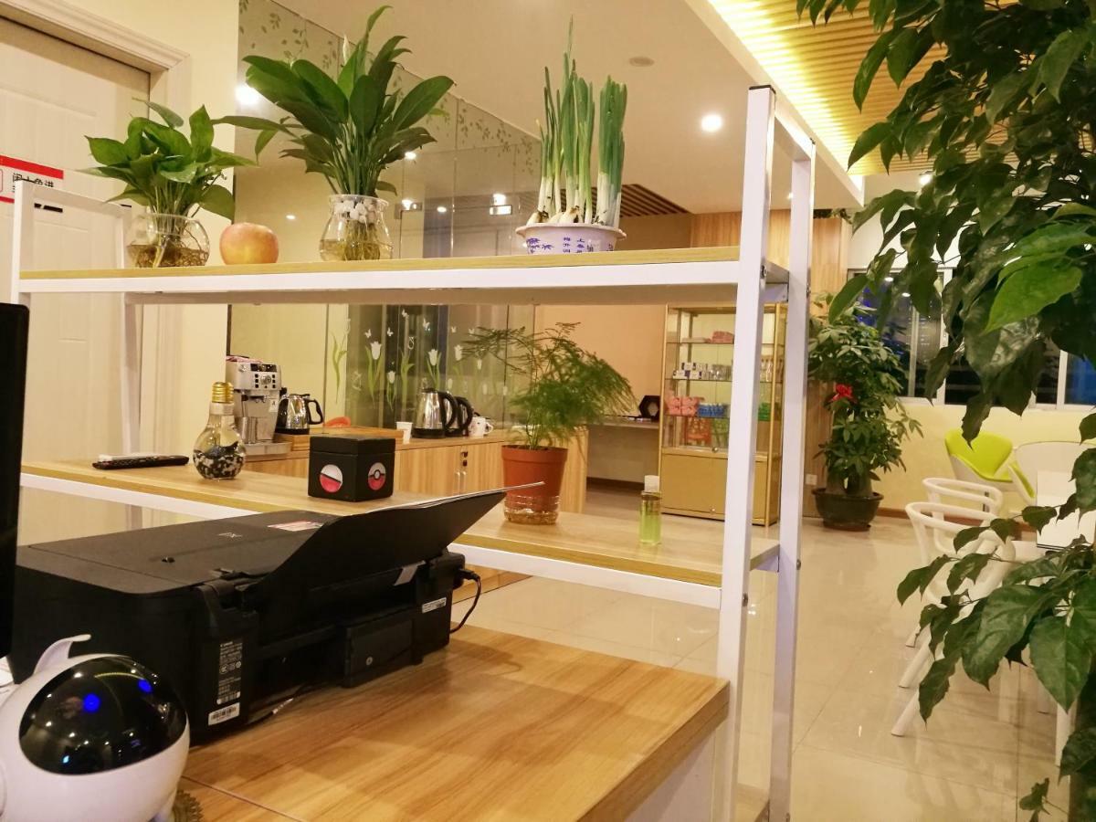 The Olive Tree Capsule Hostel Shenzhen Exterior photo